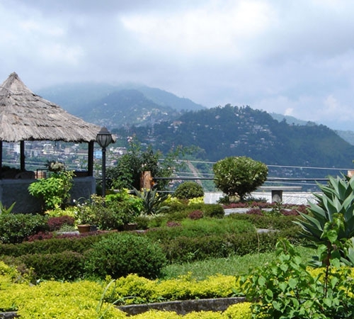 6N/7D Darjeeling Kalimpong with Pelling Tour